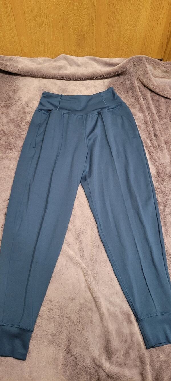 The North Face Joggers Womens Small Petite Blue Athleisure Leggings Gorpcore